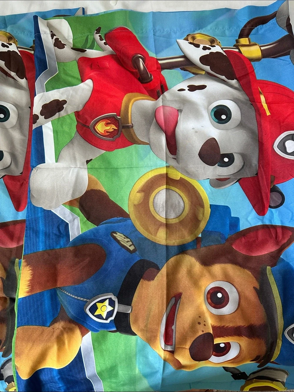 Nickelodeon Paw Patrol Blue Red Green Kids Accent Pillow Cover